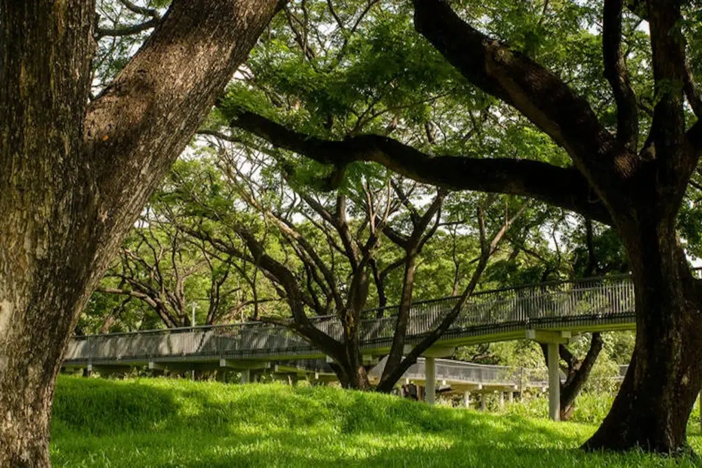 picture of the benchakitti park in sukhumvit in bangkok